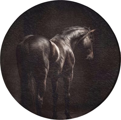 WC mat rond 70x70 cm - Antislip - Krachtig - Paard - Donker - Toiletmat - Vloermat - Douchemat - Toilet tapijt - Toiletmatten