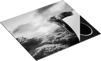 Chefcare Inductie Beschermer Olifant in het Wild bij Zonsondergang - Zwart Wit - 60x50 cm - Afdekplaat Inductie - Kookplaat Beschermer - Inductie Mat