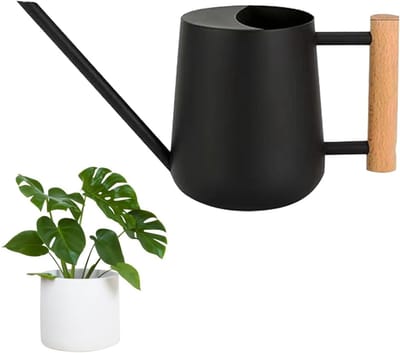 Thijox - Gieter voor Planten Binnen en Buiten, Bonsai met Lange Schenktuit, Houten Handvat, Tuinaccessoire, Perfect voor Huisplanten en Tuinplanten, 1