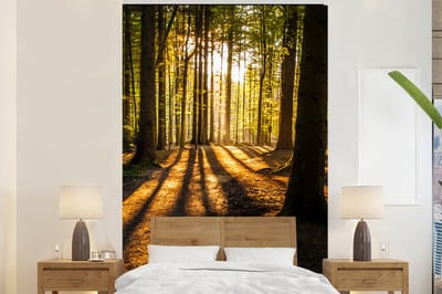 Behang - Fotobehang Zon - Bomen - Bos - Landschap - Natuur - Breedte 195 cm x hoogte 300 cm