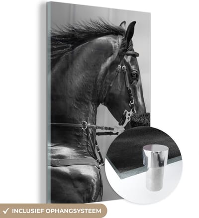 MuchoWow® Glasschilderij 40x60 cm - Schilderij acrylglas - Paarden - Zwart - Portret - Dieren - Foto op glas - Schilderijen