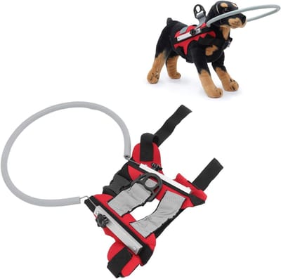 Praktische en Lichtgewicht Anti-Collisie Halsband voor Honden - Veiligheid, Comfort en Activiteiten voor Jouw Huisdier (Rood)