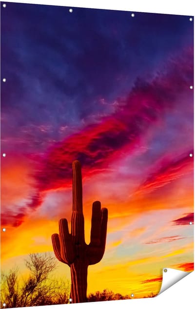 Gards Tuinposter Cactus bij Oranje Zonsondergang - 120x160 cm - Tuindoek - Tuindecoratie - Wanddecoratie buiten - Tuinschilderij