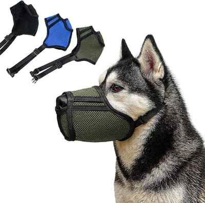 Honden Snuit - Ademende Mander - Veilig Gedrag - Hijgen en Drinken Mogelijk - Maat XL - Groen