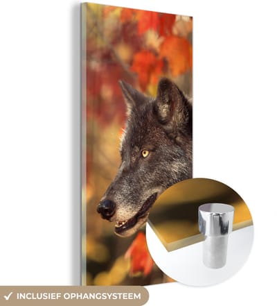 MuchoWow® Glasschilderij 20x40 cm - Schilderij acrylglas - Wolf - Close up - Bladeren - Foto op glas - Schilderijen