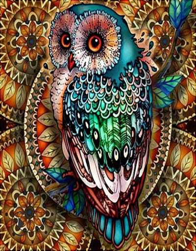 VDTOYS® DIAMOND PAINTING volwassenen - VDT018 - vierkante steentjes - full -  groot formaat - nieuwe tekeningen - 45 op 55 cm (canvas) - 40 op 50 (foto)