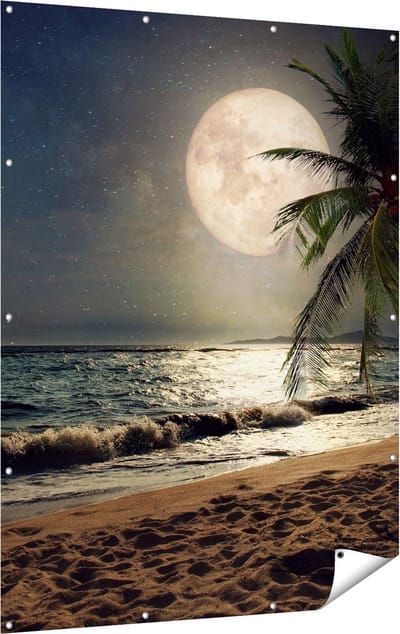 Gards Tuinposter Tropisch Strand in de Nacht met Volle Maan - 120x160 cm - Tuindoek - Tuindecoratie - Wanddecoratie buiten - Tuinschilderij