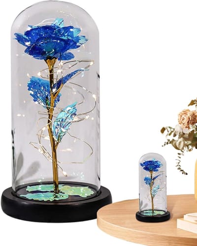 Eeuwige Roos - Kunstbloem Decoratie - Huis Verfraaien - Regenboog Kleur Effect - Terrarium Glas - Veelkleurig