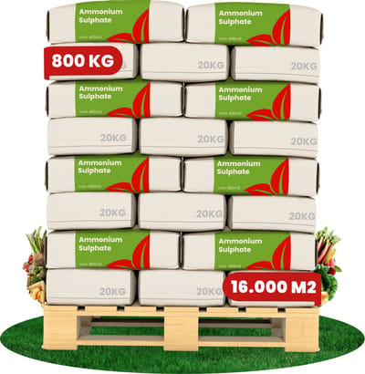 Stikstof Kunstmest Gazon & Weide - 800 Kg voor 16000 M2 - Ammoniumsulfaat Meststof - 60% Zwavel - 100% Minerale Meststof - Verlaagt De Ph-Waarde - 0,2–0,3 Mm Korrels - Stimuleert De Bladontwikkeling - Vrij Van Chloriden En Kalk - Organifer