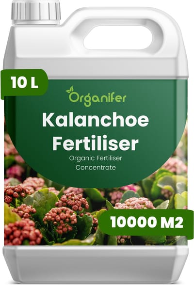 Vloeibare Meststof Voor Kalanchoe 10 L Voor 10000 M2 - Npk 2-1-8 - Compacte Groei - Langdurige Bloei - Sterke Stelen - Wortelvitaliteit - Bladstevigheid - Kleurintensiteit - Bloemkwaliteit - Vetplanten - Organifer