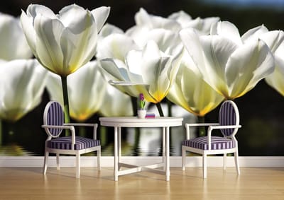 Flowers Poppies Photo Wallcovering
