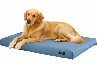 HiPet® Hondenmand / Hondenkussen / Hondenbed Waterdicht met Antislipbodem (60x40 cm) - Blauw
