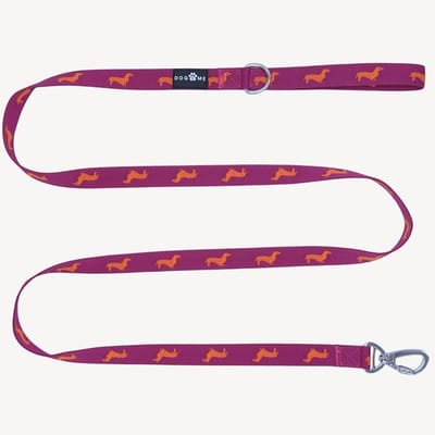 Teckels - Hondenriem - S- 2 cm breed - 2 m / 2 meter / 200 cm lang- Leiband hond