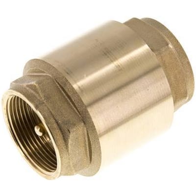 G 1-1/2'' Messing Terugslagklep Voor Vacuum -0.95..18 bar (-13.7..261 psi)