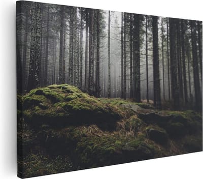 Artaza Canvas Schilderij Mos - 30x20 cm - Klein - Wanddecoratie Bos - Muurdecoratie Landschap - Kamer Accessoires Natuur