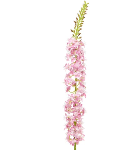 Desert Tail Tap Kaars Roze 106cm