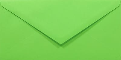 Gladde groene enveloppen A4 - 110 x 220 mm - 50 stuks - NK natgelijmde - 80 gram - Rainbow - Netuno