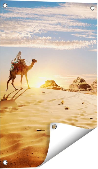Gards Tuinposter Egyptische Piramides met een Kameel - 40x60 cm - Tuindoek - Tuindecoratie - Wanddecoratie buiten - Tuinschilderij