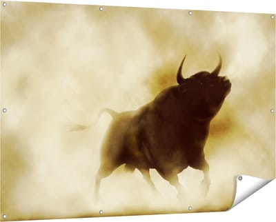 Gards Tuinposter Zwarte Stier in het Stoffige Rook - 150x100 cm - Tuindoek - Tuindecoratie - Wanddecoratie buiten - Tuinschilderij