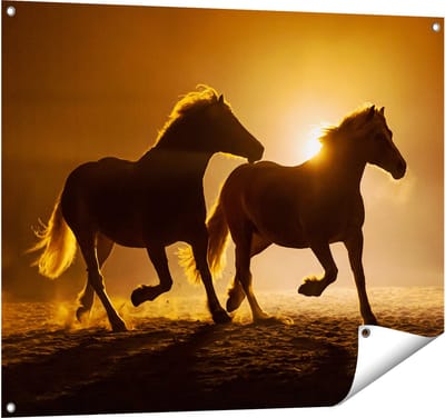 Gards Tuinposter Silhouet van Twee Paarden - 100x80 cm - Tuindoek - Tuindecoratie - Wanddecoratie buiten - Tuinschilderij