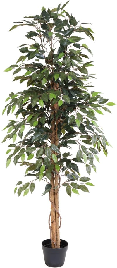 Florafy Kunstplant Ficus Benjamina 160cm - Kunstplanten voor binnen - Onderhoudsvrij