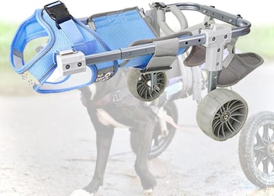 Hondenrolstoel - Hulpmiddel achterpoten - Ondersteuning mobiliteit - Verstelbaar ontwerp - X-Small - Blauw