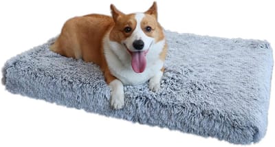 Hondenkussen Orthopedisch Egg Crate Memory Foam Matras Met Afneembare Hoes, Waterdicht en Anti Slip, Voor Bank Bed en Auto, Geschikt voor Kleine Middelgrote Honden Katten, wit 120*80*10cm