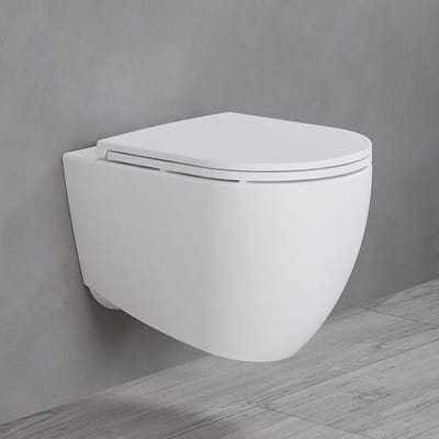 Megabad Profi Collection Art wall-mounted WC rimless incl. WC seat 10NF02001-2L set