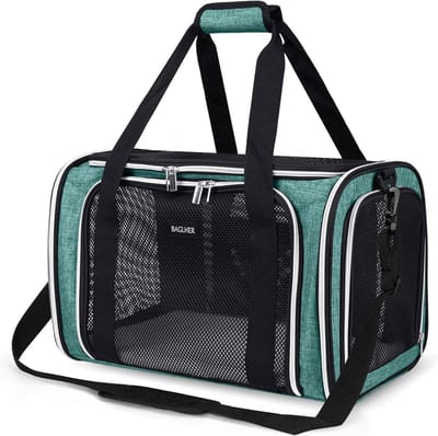 Reismand Dier - Transporttas Kat Hond - Veilig Reizen - Lichtgewicht Opvouwbaar - 43 x 28 x 30 cm - Groen