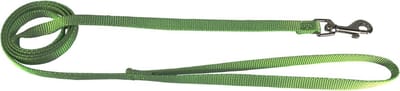 Nylon Hondenriem - Hondenlijn - Hond Uitlaten - Draaibare Snap - 3/8 x 4 voet - Limoengroen