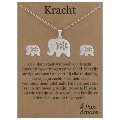 Stainless Steel Olifant Ketting + Oorbellen Setje op Cadeau Kaartje - Kracht - 45 cm ketting & ± 10x10mm Oorknopjes - Zilverkleurig Roestvrij Staal - Pax Amare