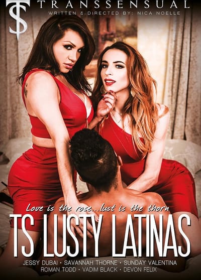 Erotiek - Ts Busty Latinas
