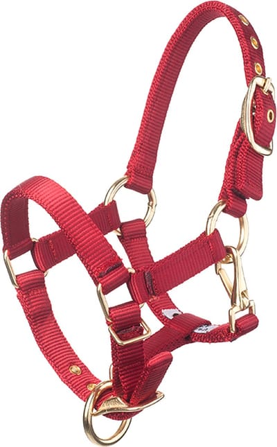 MHS Halster Fancy Rood Veulen