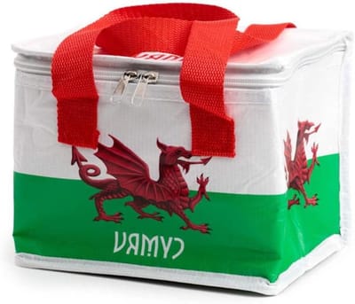 Lunchtas Wales - Geïsoleerde Tas - Lunch Meenemen - Gemaakt van Gerecycled Plastic - 1 Kubieke centimeter - Meerkleurig