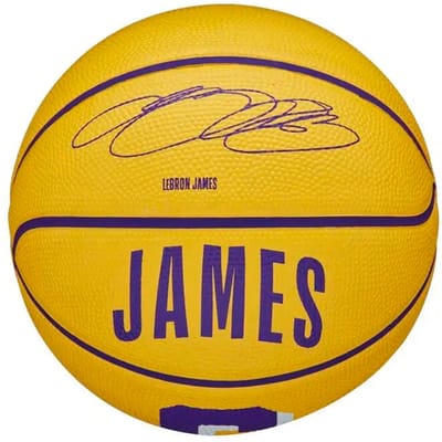 Mini Bal Wilson NBA Lebron James
