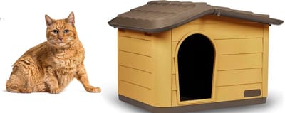 Kattenhuis - kattenhok - slaaphuis - kattenhok - Huisdierhuis - honing bruin - 51x38x35cm