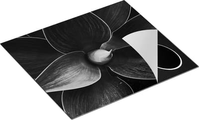 Chefcare Inductie Beschermer Blauwe Agave Plant - Bloem - Zwart Wit - 60x50 cm - Afdekplaat Inductie - Kookplaat Beschermer - Inductie Mat