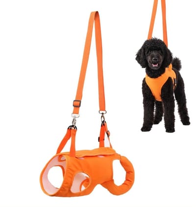 Dailygoods- Hondentuigje met tilfunctie - Verstelbare banden - Ademend gaas - Magic Sticker-sluiting - Geschikt voor honden en katten - Comfortabel tijdens activiteit - Hondentuig