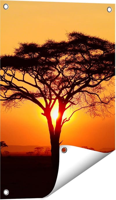 Gards Tuinposter Zonsondergang Achter een Savanne Boom - 40x60 cm - Tuindoek - Tuindecoratie - Wanddecoratie buiten - Tuinschilderij