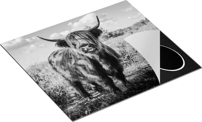 Chefcare Inductie Beschermer Schotse Hooglander Koe in de Wei - Zwart Wit - 60x50 cm - Afdekplaat Inductie - Kookplaat Beschermer - Inductie Mat