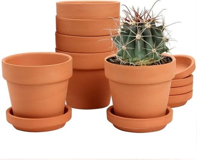 Mini terracotta potten set met onderzetter - 6 stuks bloempotten 10x10 cm - Met afvoergat - Voor kamerplanten en buiten - Huwelijkscadeau - Terracotta pot met dienblad