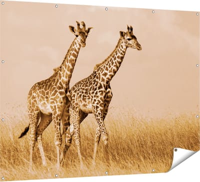 Gards Tuinposter Twee Giraffes in het Veld - 160x120 cm - Tuindoek - Tuindecoratie - Wanddecoratie buiten - Tuinschilderij
