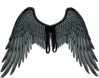 Dailygoods- Engelenvleugels 3D-print - Vliesmateriaal - Opvouwbaar ontwerp - Flexibele schouderriem - Geschikt voor volwassenen - Perfect voor feesten - Feeënvleugels