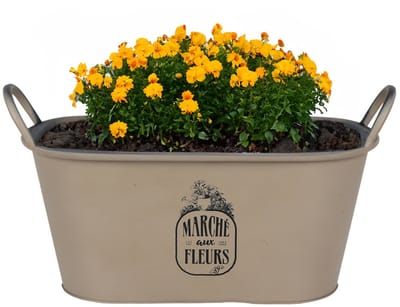 Sunnydays Teil/plantenpot/bloempot - zink - taupe - L39 x B16 x H21 cm