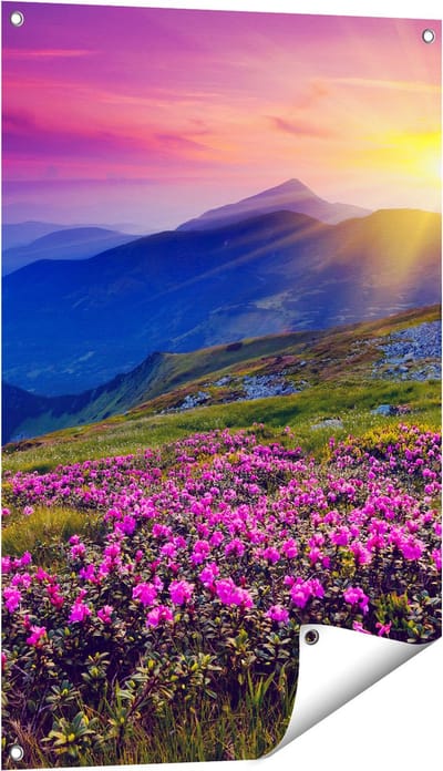 Gards Tuinposter Roze Rhododendron Bloemenveld - Bergen - 60x90 cm - Tuindoek - Tuindecoratie - Wanddecoratie buiten - Tuinschilderij