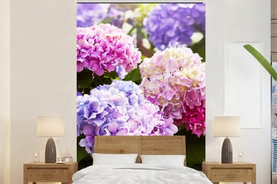 Behang - Fotobehang Bloemen - Hortensia - Roze - Bladeren - Zon - Breedte 180 cm x hoogte 280 cm