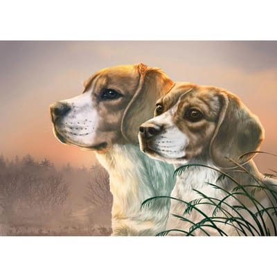 5D DIY Diamond schilderij hond metgezel borduurwerk mozaïek kruissteek strass decor 20X30CM beige