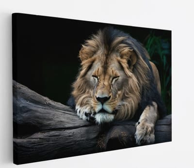 Saammp Canvas Schilderij - Leeuw op boomstronk - Dieren - Natuur - 45x30 - Foto op canvas - Wanddecoratie - Muurdecoratie Woonkamer - Slaapkamer decoratie - Canvas Print