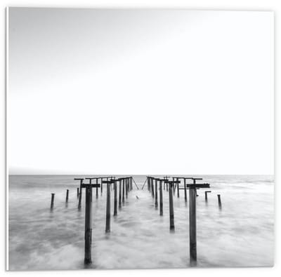 Forex - Palen in het Water Zwart - Wit - 50x50cm Foto op Forex