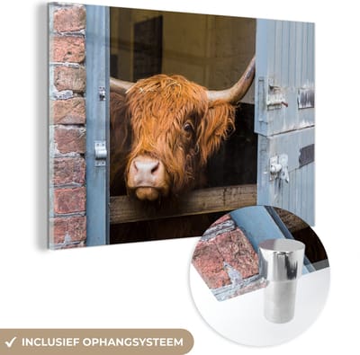 MuchoWow® Glasschilderij 150x100 cm - Schilderij acrylglas - Schotse Hooglander - Boerderij - Schuur - Foto op glas - Schilderijen